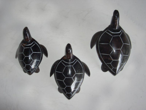 Turtlle Black Shell