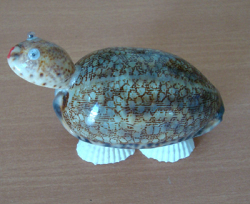 Shell Crafts With Turtle Ornament