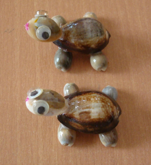 Black Cowrie Shell Toys