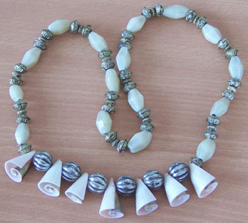 Shell With Bead Necklace