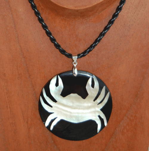 Shell combination resin