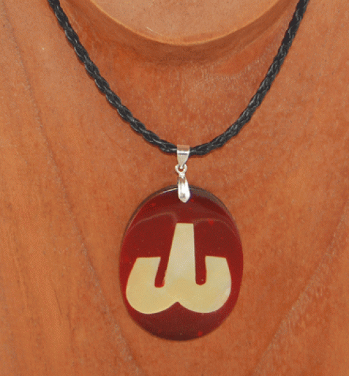 Zodiac shell with resin necklace