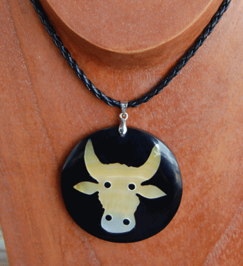 Zodiac shell with resin necklace