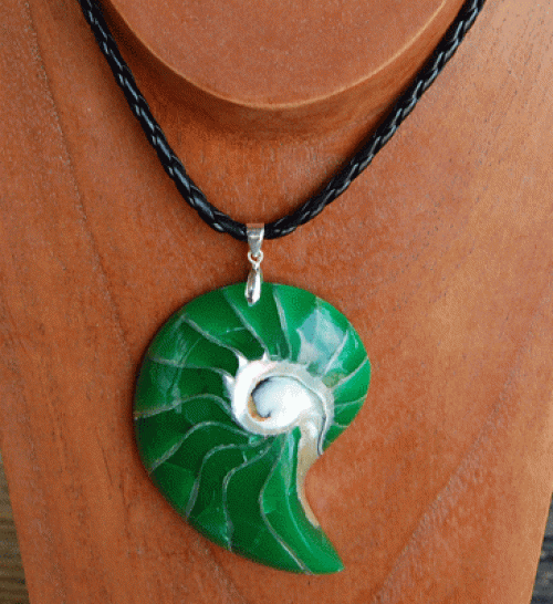 shell natural cut with resin