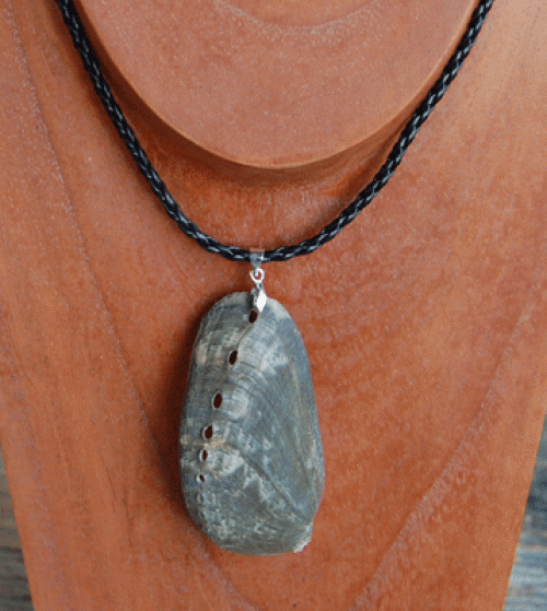colection shell necklace