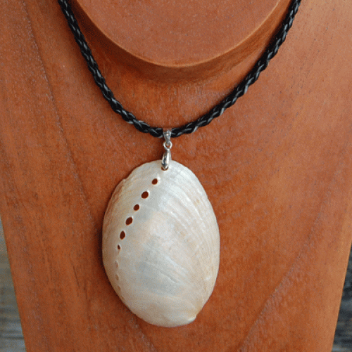 colection shell necklace