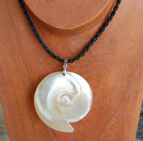 colection shell necklace