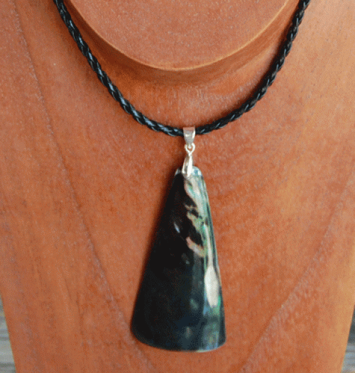 colection shell necklace